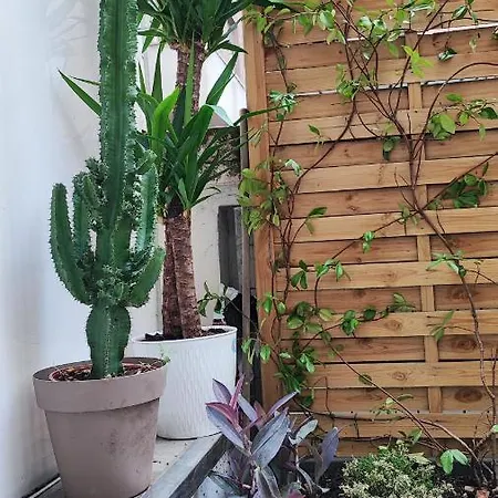 My Little House-2